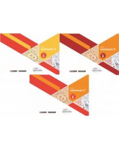 ABC van Wiskunde Graad 6 WB(STEL)