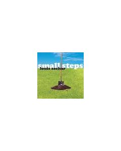 Small Steps (Louis Sachar)