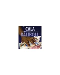 ICALA KALIBOLI
