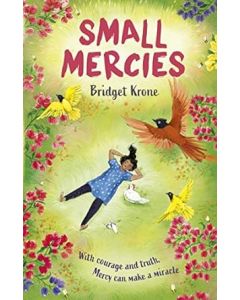 Small Mercies (Bridget Krone) 