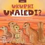 UKUPHI UNALEDI?